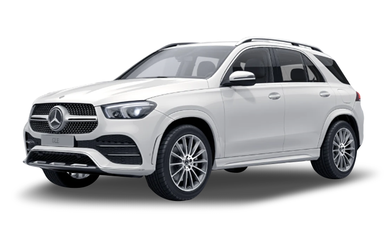 폴라 화이트 익스테리어